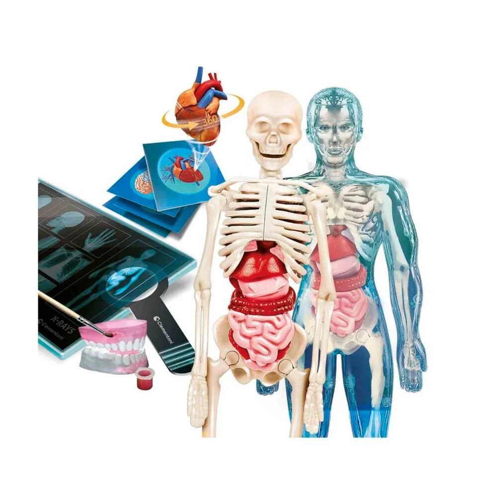 Superanatomía Ciencia Y Juego - Imagen 4